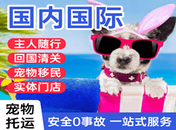 丹东空运代理国际宠物托运 【国